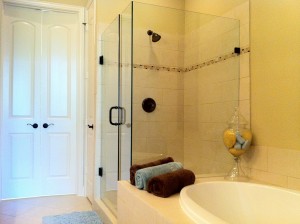 Dallas Texas Frameless Shower Door