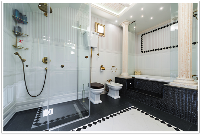 Frameless shower doors