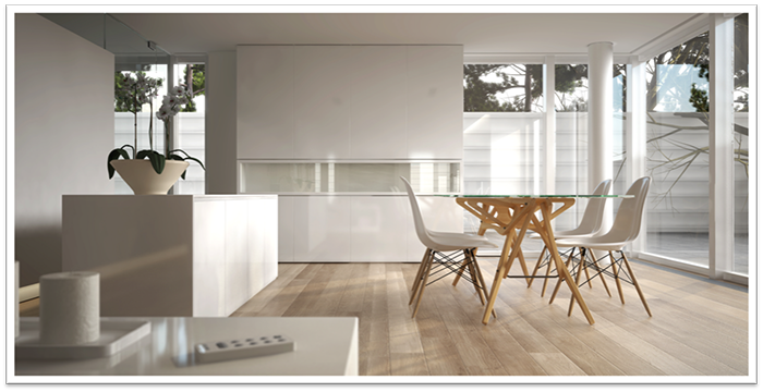 Modern minimalist dining room