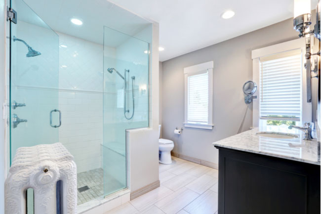 Alamo Glass Shower Door Bathroom Design